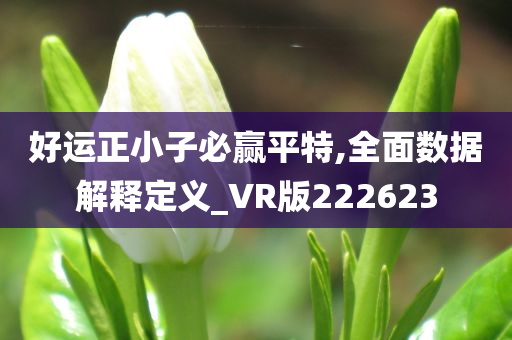 好运正小子必赢平特,全面数据解释定义_VR版222623