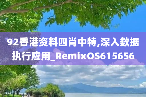 92香港资料四肖中特,深入数据执行应用_RemixOS615656