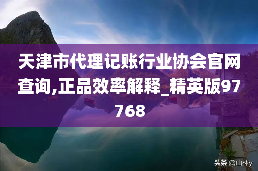 天津市代理记账行业协会官网查询,正品效率解释_精英版97768