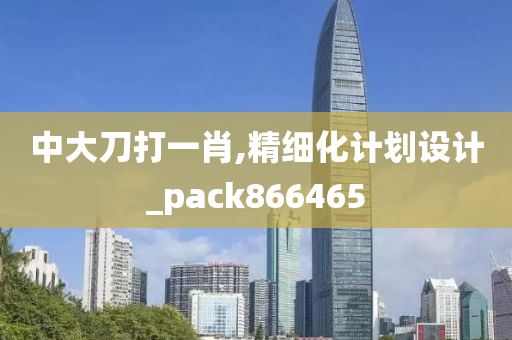 中大刀打一肖,精细化计划设计_pack866465