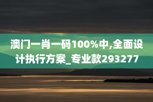 澳门一肖一码100%中,全面设计执行方案_专业款293277