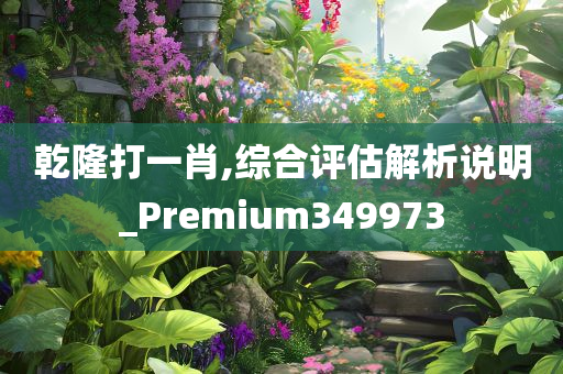 乾隆打一肖,综合评估解析说明_Premium349973