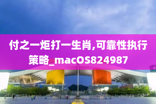 付之一炬打一生肖,可靠性执行策略_macOS824987