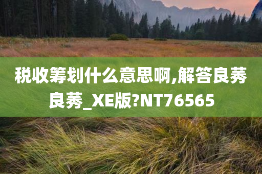 税收筹划什么意思啊,解答良莠良莠_XE版?NT76565