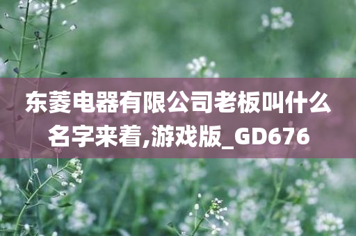 东菱电器有限公司老板叫什么名字来着,游戏版_GD676