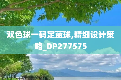 双色球一码定蓝球,精细设计策略_DP277575