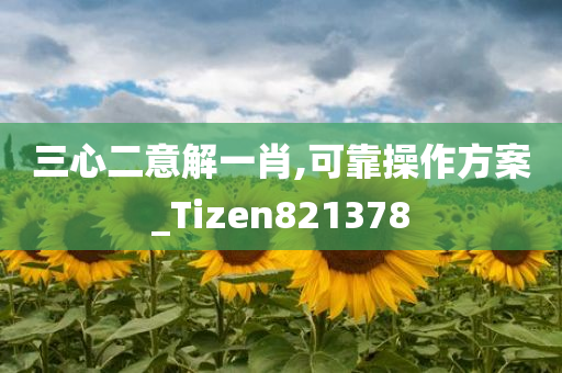 三心二意解一肖,可靠操作方案_Tizen821378