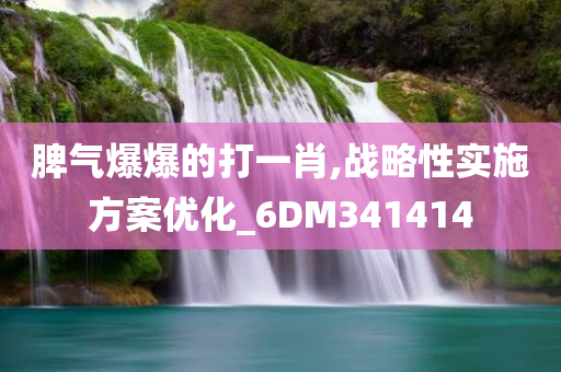 脾气爆爆的打一肖,战略性实施方案优化_6DM341414