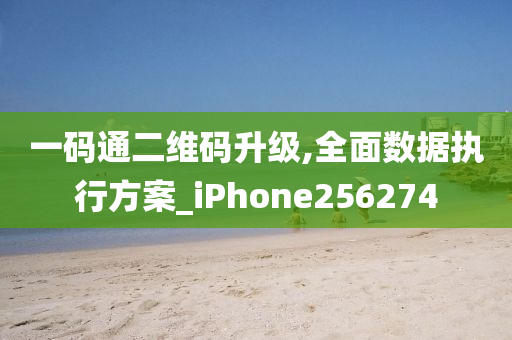 一码通二维码升级,全面数据执行方案_iPhone256274