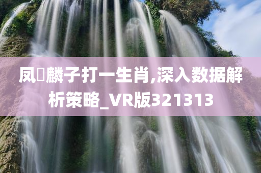 凤雛麟子打一生肖,深入数据解析策略_VR版321313