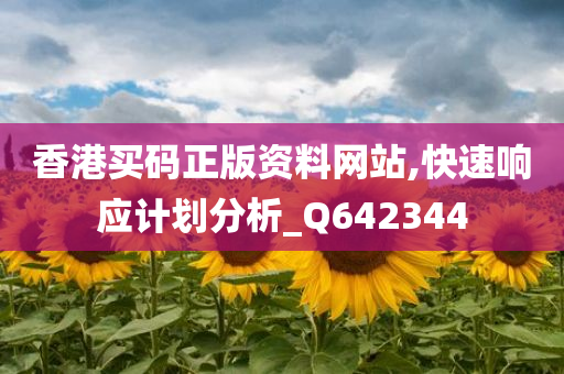 香港买码正版资料网站,快速响应计划分析_Q642344