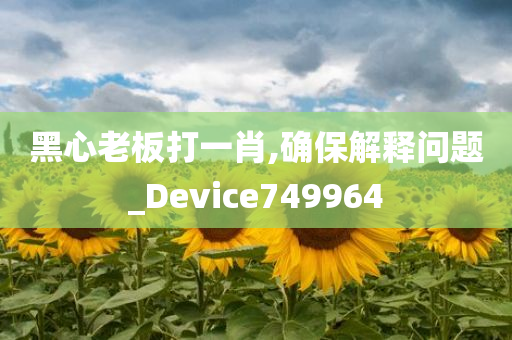 黑心老板打一肖,确保解释问题_Device749964