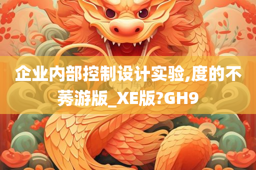 企业内部控制设计实验,度的不莠游版_XE版?GH9