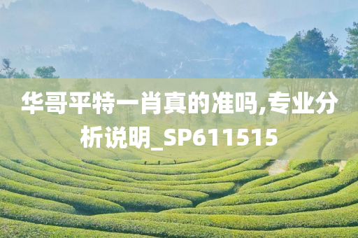 华哥平特一肖真的准吗,专业分析说明_SP611515