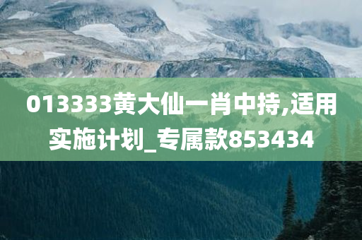 013333黄大仙一肖中持,适用实施计划_专属款853434