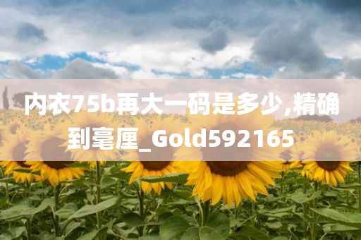 内衣75b再大一码是多少,精确到毫厘_Gold592165