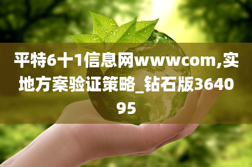 平特6十1信息网wwwcom,实地方案验证策略_钻石版364095