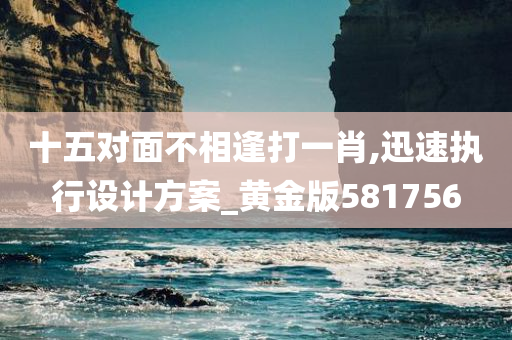 十五对面不相逢打一肖,迅速执行设计方案_黄金版581756