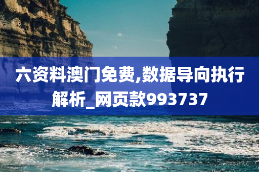 六资料澳门免费,数据导向执行解析_网页款993737