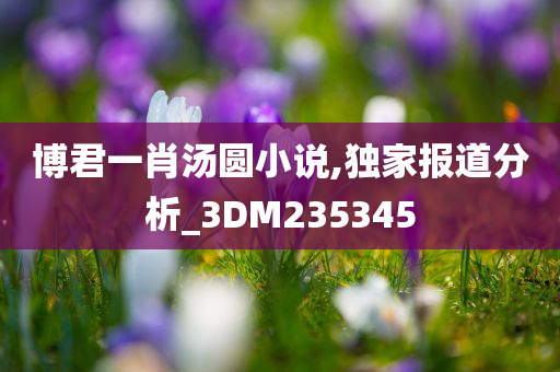 博君一肖汤圆小说,独家报道分析_3DM235345