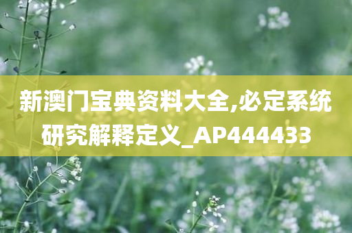 新澳门宝典资料大全,必定系统研究解释定义_AP444433