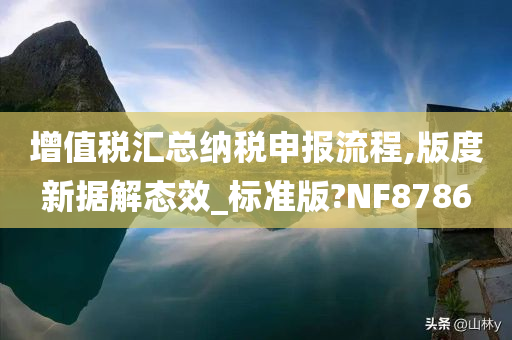 增值税汇总纳税申报流程,版度新据解态效_标准版?NF8786