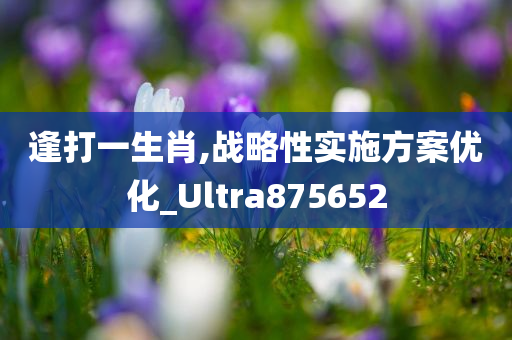 逢打一生肖,战略性实施方案优化_Ultra875652