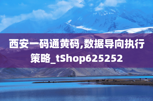 西安一码通黄码,数据导向执行策略_tShop625252