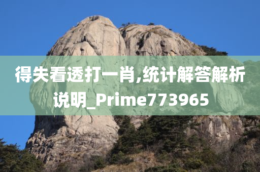 得失看透打一肖,统计解答解析说明_Prime773965