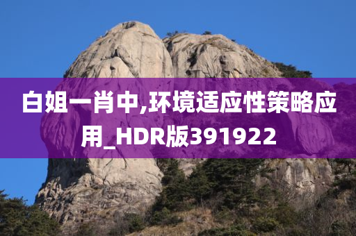 白姐一肖中,环境适应性策略应用_HDR版391922