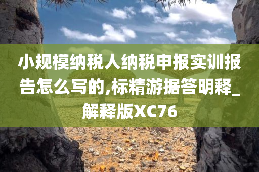 小规模纳税人纳税申报实训报告怎么写的,标精游据答明释_解释版XC76