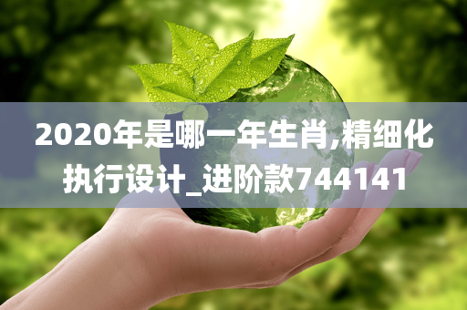 2020年是哪一年生肖,精细化执行设计_进阶款744141