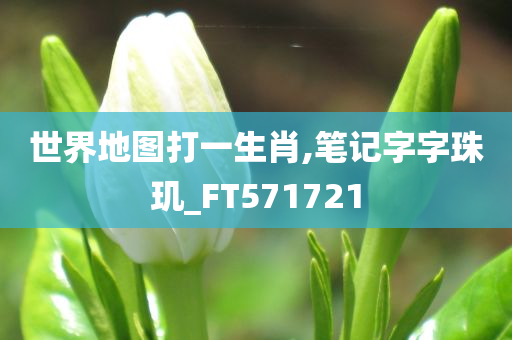 世界地图打一生肖,笔记字字珠玑_FT571721