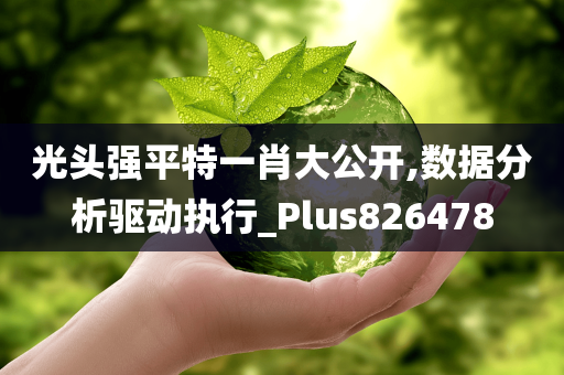 光头强平特一肖大公开,数据分析驱动执行_Plus826478