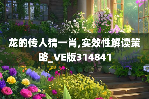 龙的传人猜一肖,实效性解读策略_VE版314841