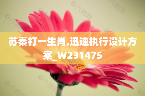 苏秦打一生肖,迅速执行设计方案_W231475