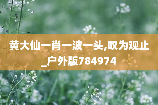 黄大仙一肖一波一头,叹为观止_户外版784974