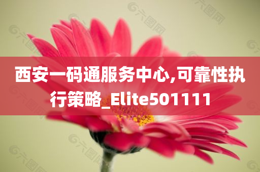 西安一码通服务中心,可靠性执行策略_Elite501111