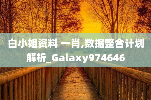 白小姐资料 一肖,数据整合计划解析_Galaxy974646