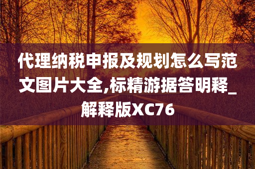 代理纳税申报及规划怎么写范文图片大全,标精游据答明释_解释版XC76