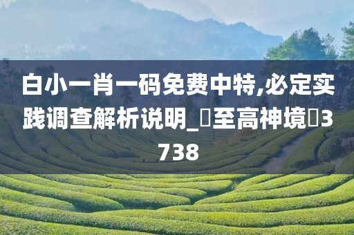 白小一肖一码免费中特,必定实践调查解析说明_?至高神境?3738