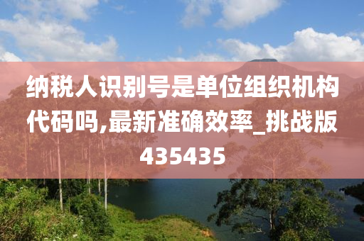 纳税人识别号是单位组织机构代码吗,最新准确效率_挑战版435435