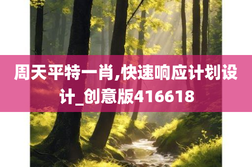 周天平特一肖,快速响应计划设计_创意版416618