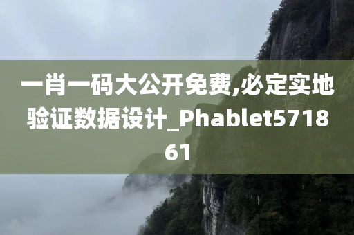 一肖一码大公开免费,必定实地验证数据设计_Phablet571861