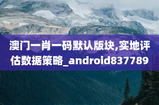 澳门一肖一码默认版块,实地评估数据策略_android837789