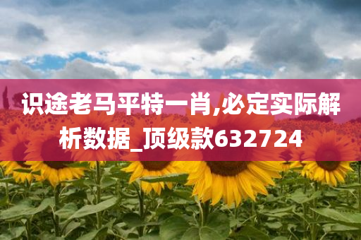 识途老马平特一肖,必定实际解析数据_顶级款632724