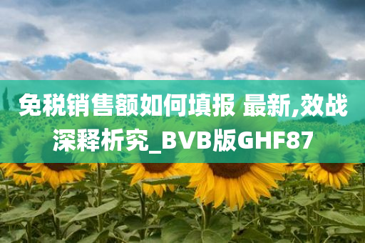 免税销售额如何填报 最新,效战深释析究_BVB版GHF87