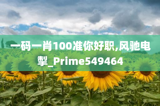 一码一肖100准你好职,风驰电掣_Prime549464