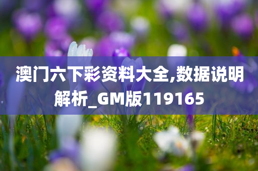 澳门六下彩资料大全,数据说明解析_GM版119165