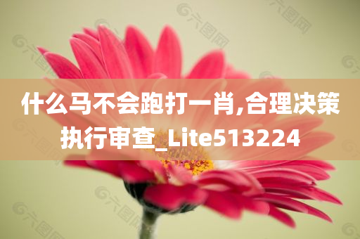 什么马不会跑打一肖,合理决策执行审查_Lite513224